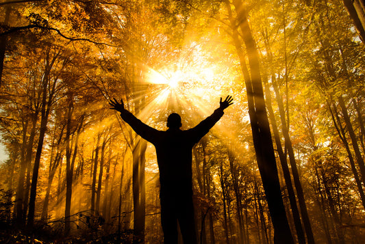 Plongez dans l'univers de la spiritualité
